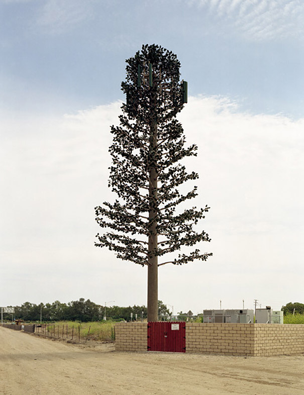 Cell Phone Towers Disguised as Trees