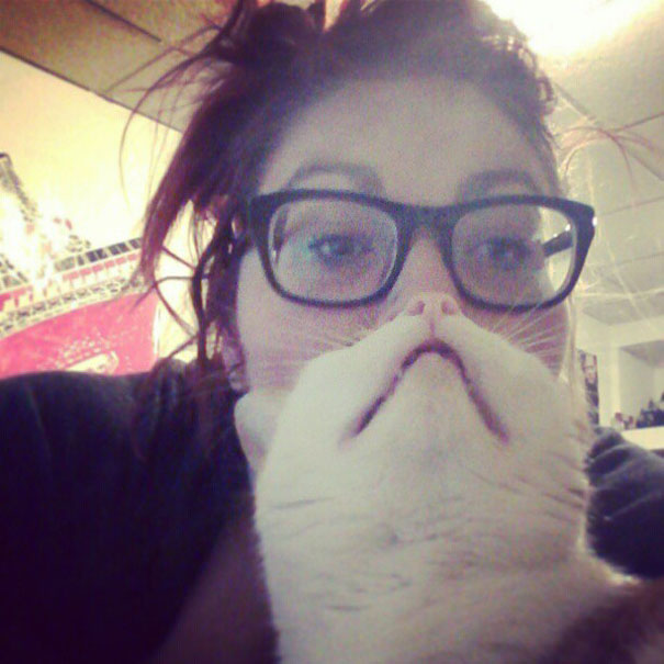 ‘Cat Beard’ Craze Takes Internet By Storm 