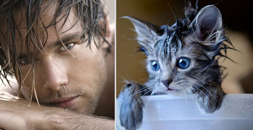 Girls’ Favorite Things Brought Together: Hot Guys and Kittens (PART II)