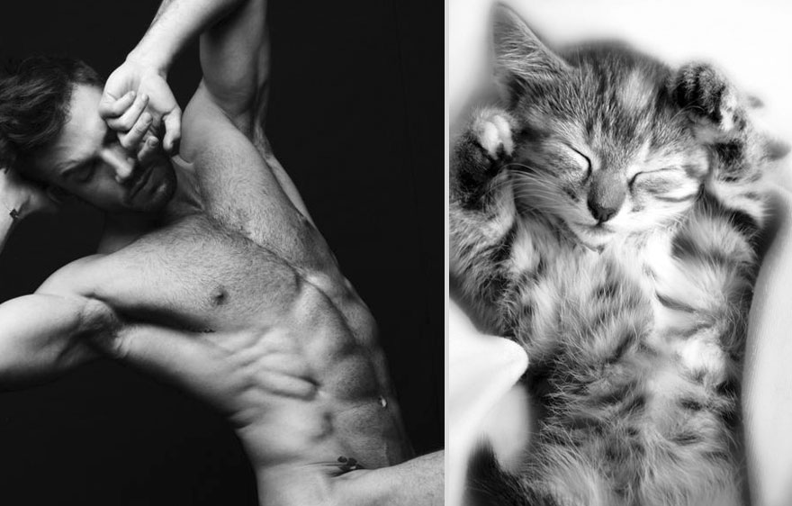 Картинки по запросу мужчина и кот