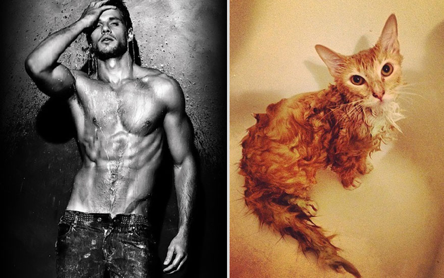 Girls’ Favorite Things Brought Together: Hot Guys and Kittens (PART II)