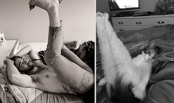 Girls' Favorite Things Brought Together: 25 Diptychs of Hot Guys and Kittens