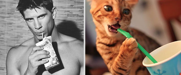 Girls' Favorite Things Brought Together: 25 Diptychs of Hot Guys and Kittens