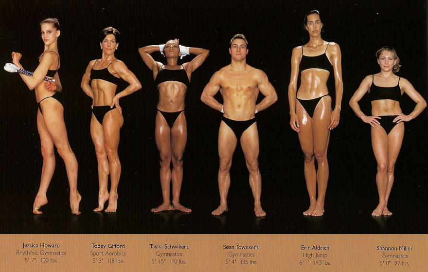 The Body Shapes Of The World's Best Athletes Compared Side By Side