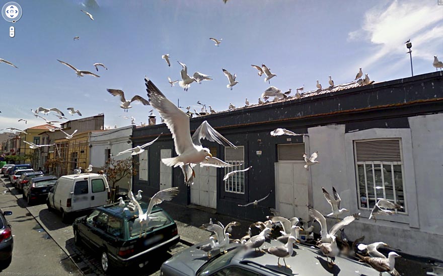 36 Strange and Funny Google Street View Photos