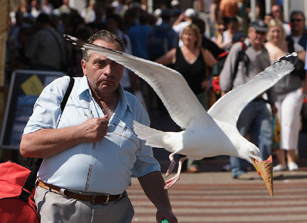 33 Perfectly Timed Photos