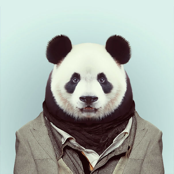 Hilarious Zoo Portraits by Yago Partal