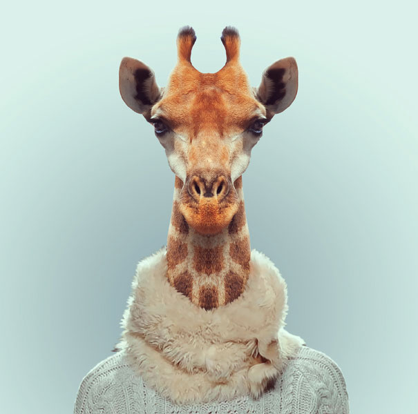 Hilarious Zoo Portraits by Yago Partal