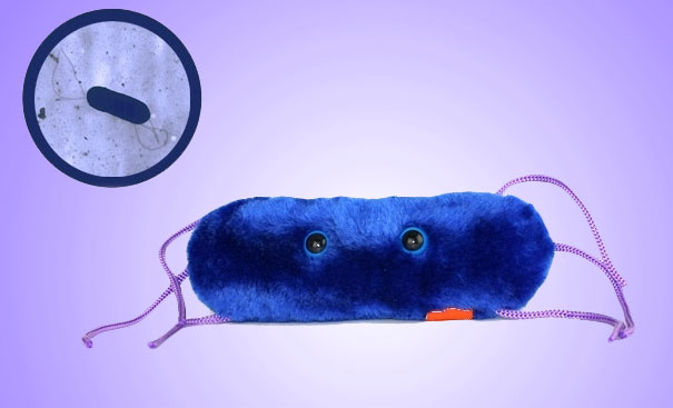 Giant Plush Microbes and Cells