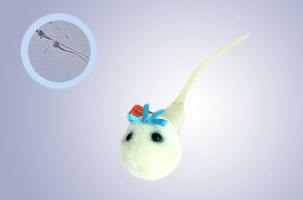 Giant Plush Microbes and Cells