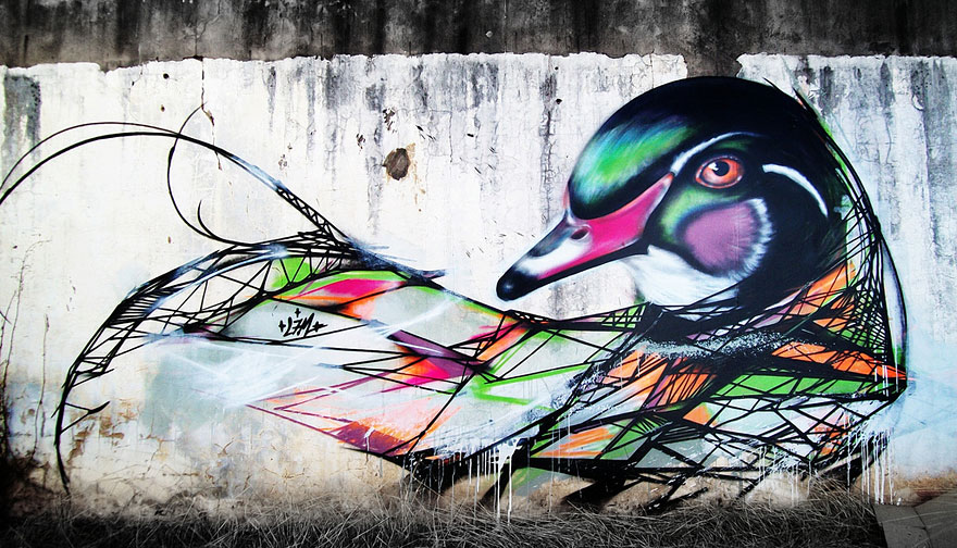 Mesmerizing Graffiti Birds on the Streets of Brazil by L7m