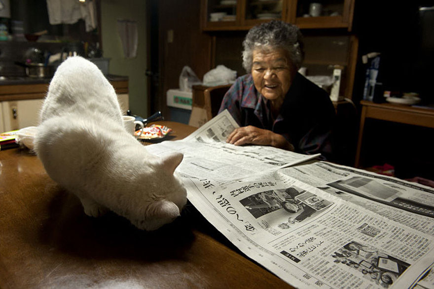 Beautiful Friendship Between a Grandmother and Her Odd-eyed Cat