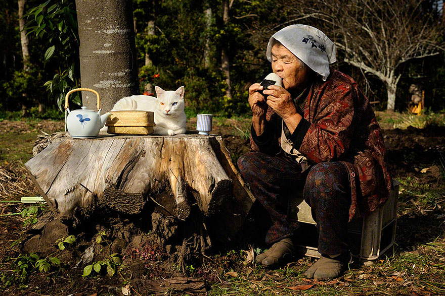 Beautiful Friendship Between a Grandmother and Her Odd-eyed Cat