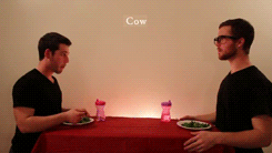 How Animals Eat Their Food 
