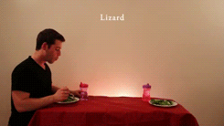 How Animals Eat Their Food 