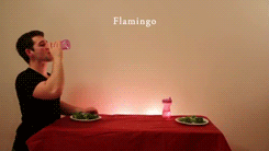 How Animals Eat Their Food 