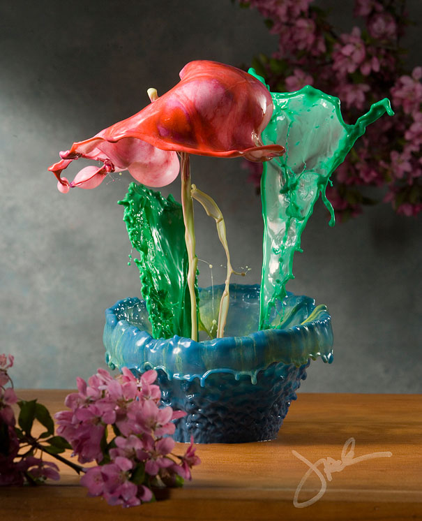 Incredible Water Splash Flowers by Jack Long