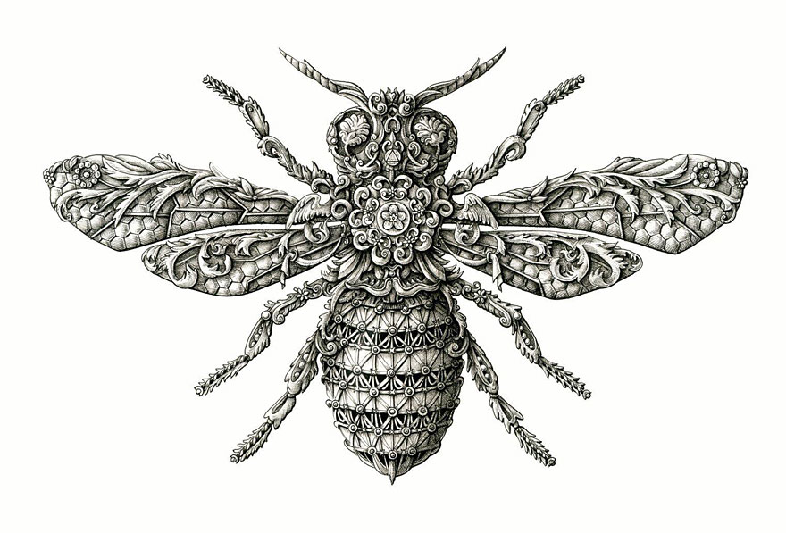 Incredibly Intricate Renaissance-Style Insect Drawings by Alex Konahin