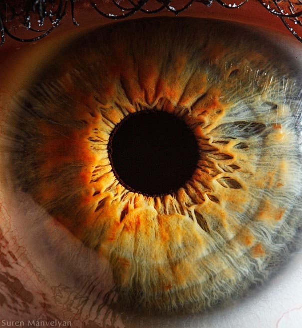 Extreme Close-Ups of the Human Eye
