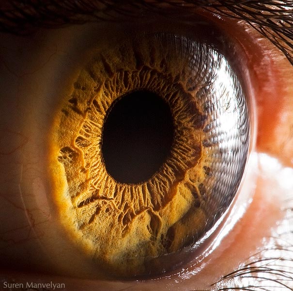 Extreme Close-Ups of the Human Eye