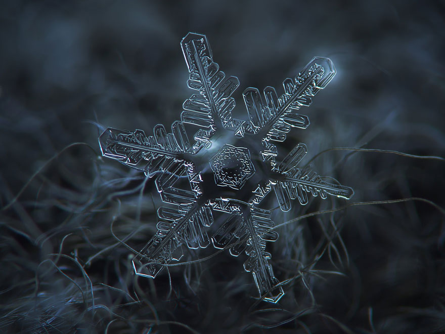 Photographer Uses Cheap Home-Made Camera Rig To Take Stunning Close-Ups of Snowflakes