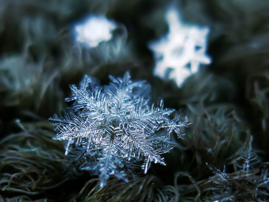 Photographer Uses Cheap Home-Made Camera Rig To Take Stunning Close-Ups of Snowflakes