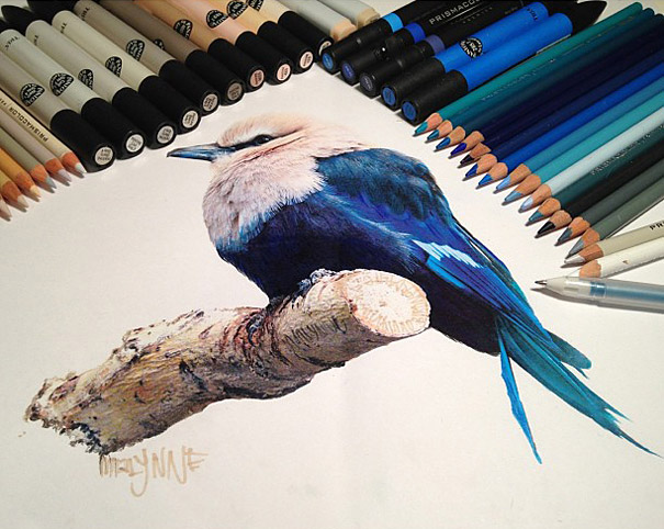 Artist Reveals Her Mixed Media Tools By Placing Them Next To Her Drawings