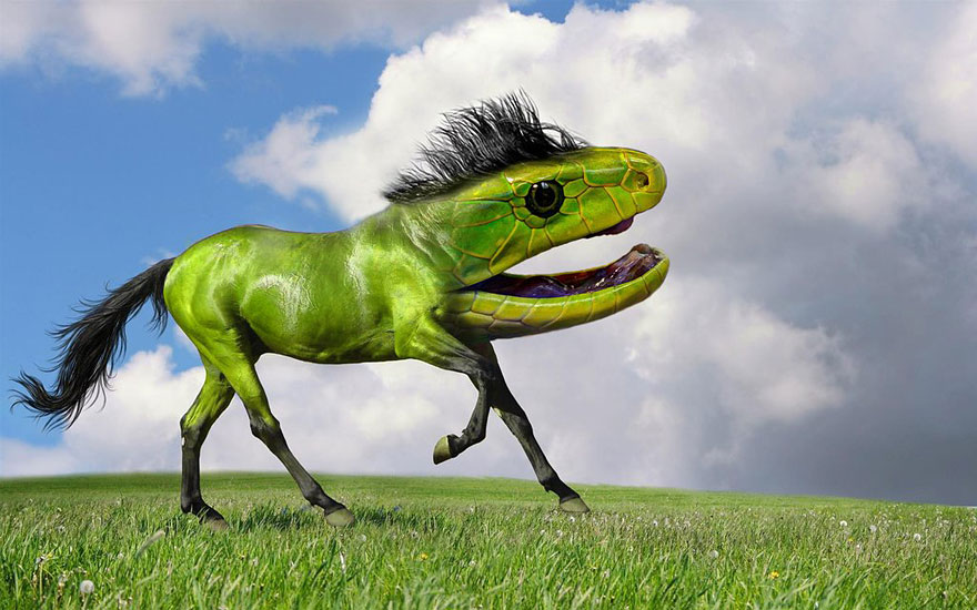 15 New Animal Species Bred in Photoshop