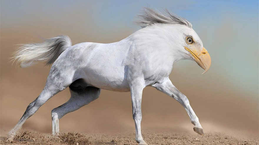 15 New Animal Species Bred in Photoshop