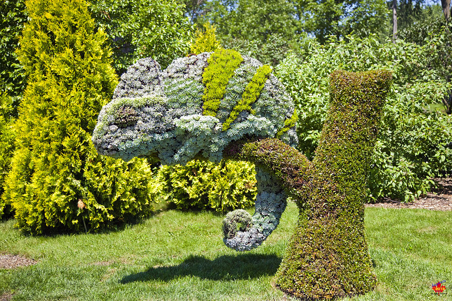 Amazing Plant Sculptures at the Montreal Mosaiculture Exhibition 2013