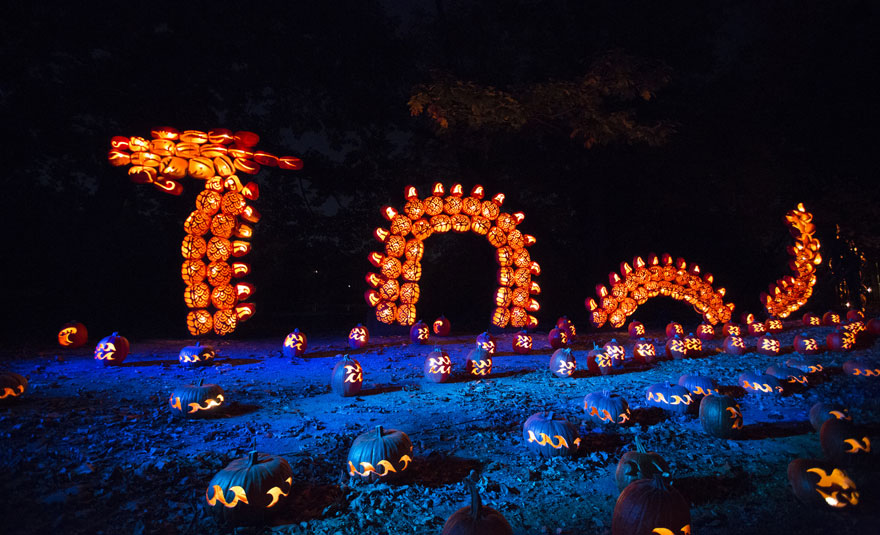 Giant Pumpkin Sculptures At The Great Jack'O Lantern Blaze