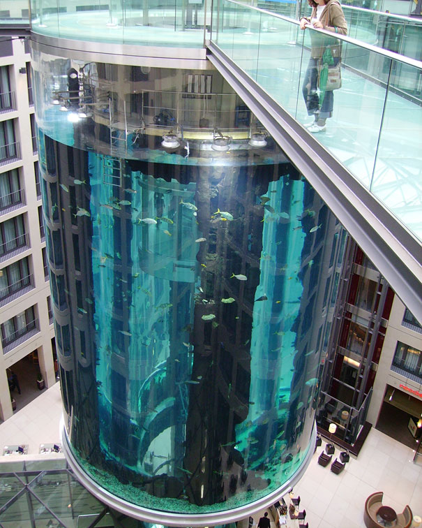 Largest Cylindrical Aquarium Radisson Blu Hotel | Panda