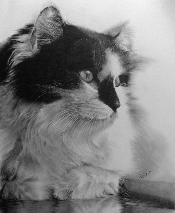 Incredibly Realistic Pencil Drawings by Paul Lung