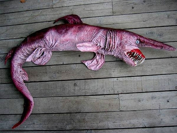 20 photos of Animals you didn't know existed.10 Strange Animals You Probably Didn't Know Existed in the world 