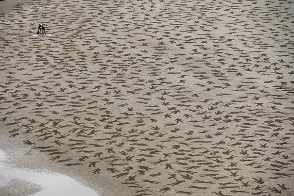 9,000 Fallen Soldier Sand Drawings Commemorate Those Who Died On D-Day Beach 