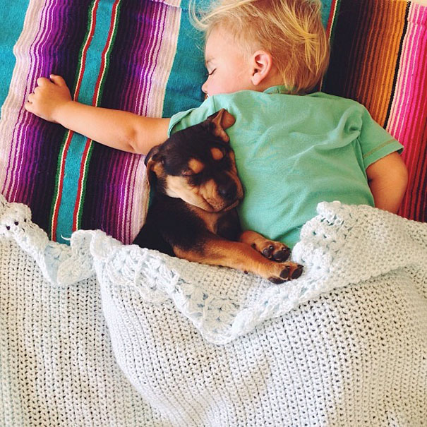 Toddler Takes Daily Naps With His Adopted 2-Month-Old Puppy
