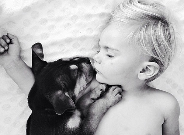 Toddler Takes Daily Naps With His Adopted 2-Month-Old Puppy