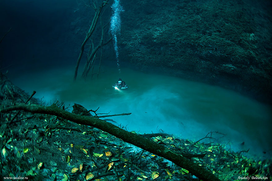 Hidden Underwater River Flowing Under the Ocean in Mexico