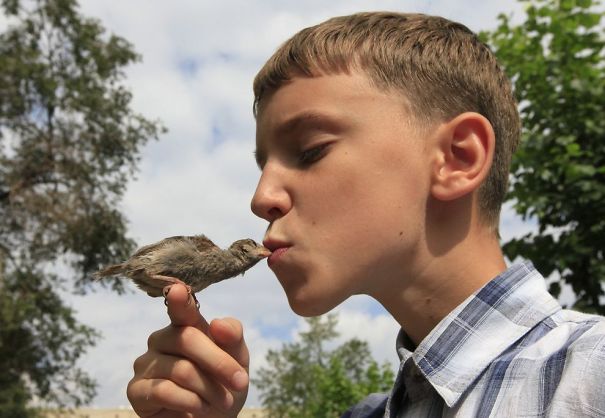 An Unusual Friendship Between A Sparrow And A 12-Year-Old Boy