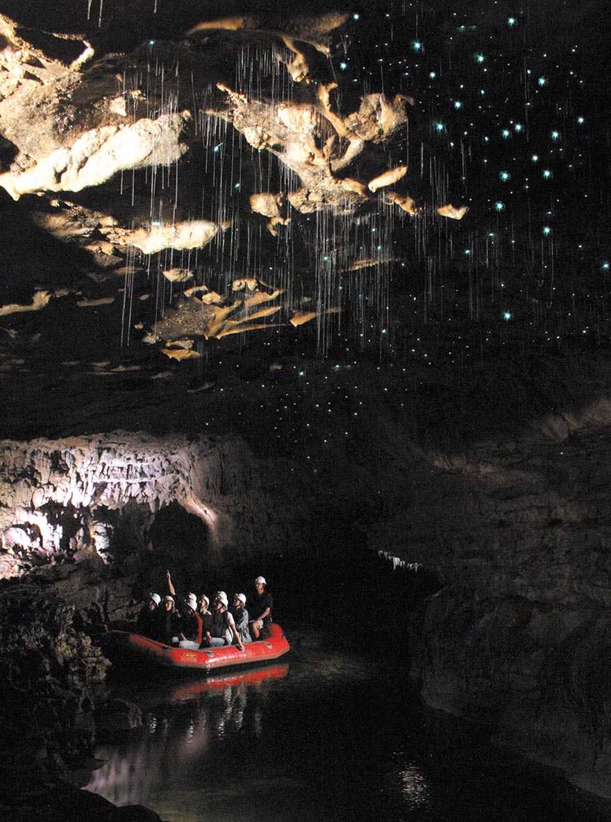 Glowworms Create Spectacular Starry Night Sky in a New Zealand Cave