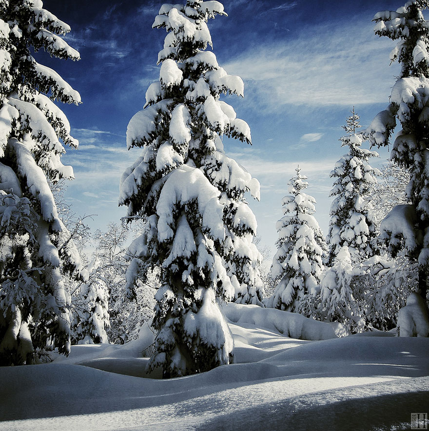 20 Breathtaking Photos Of Winter Landscapes